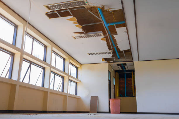 Best Professional water damage repair  in Del Rio, CA