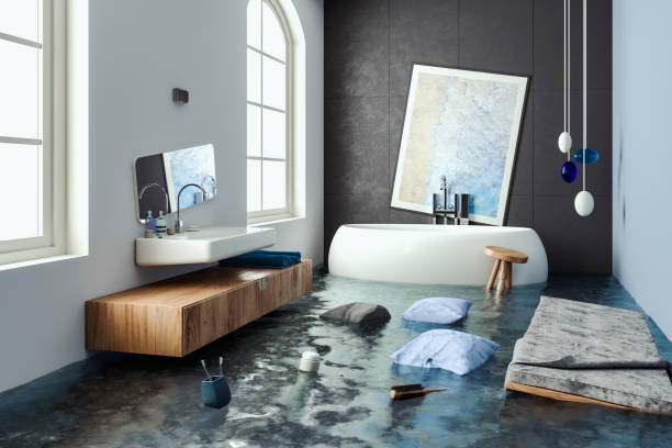 Best Mold removal after water damage  in Del Rio, CA