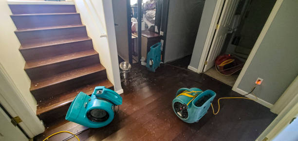 Best Flood damage cleanup  in Del Rio, CA