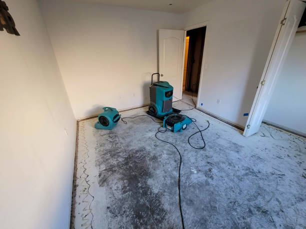 Best Sewage cleanup and water damage restoration  in Del Rio, CA