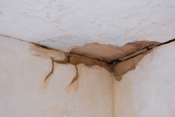 Best Sewage cleanup and water damage restoration  in Del Rio, CA