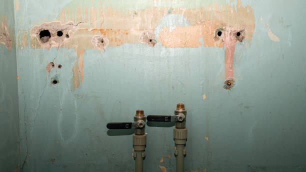 Best Residential water damage restoration  in Del Rio, CA