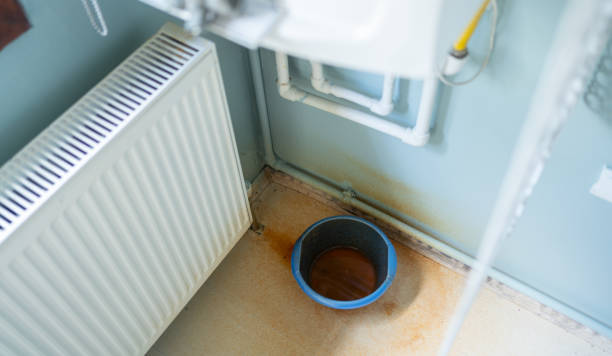 Best Local water damage restoration  in Del Rio, CA